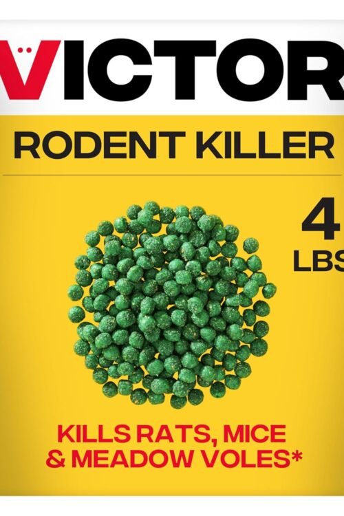 Victor Rat Poisoning for Inside & Outdoor Use – Kills